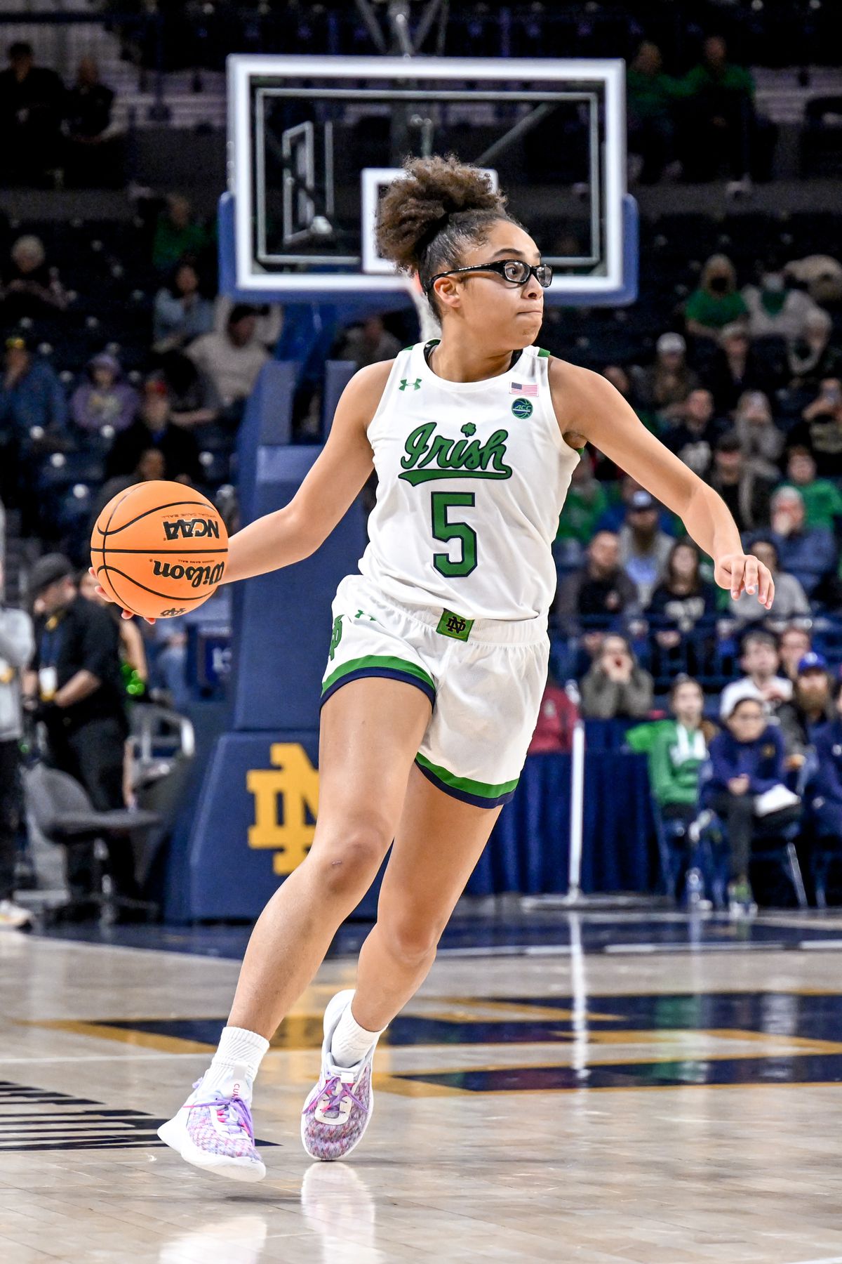 NCAA Womens Basketball: Louisville at Notre Dame