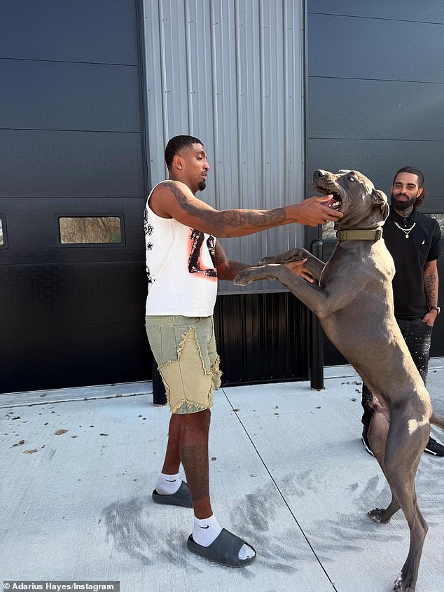 Hayes was recruited after leaving high school as one of the country's top-ranked linebackers