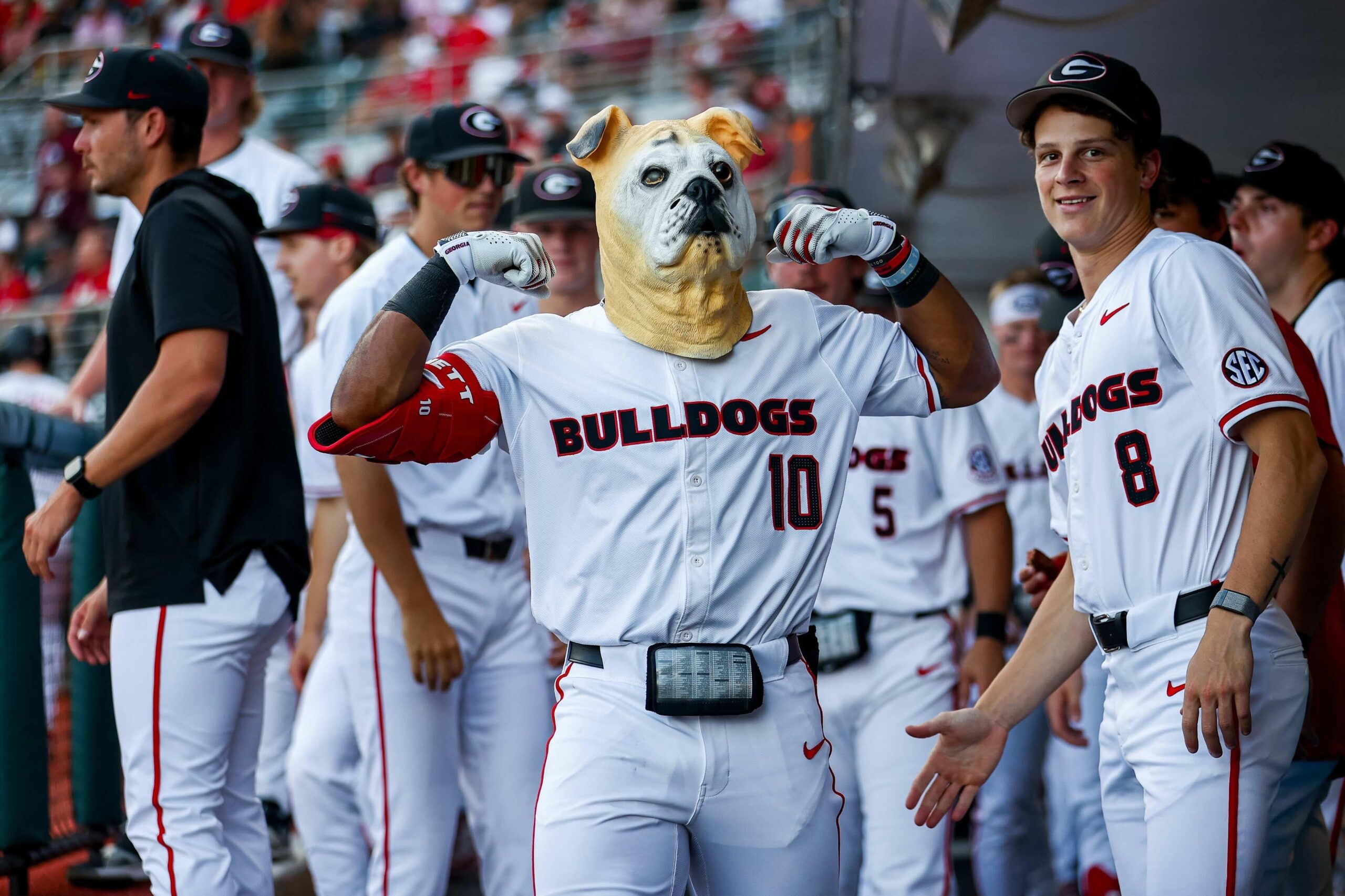 Georgia baseball's 2025 dugout celebrations