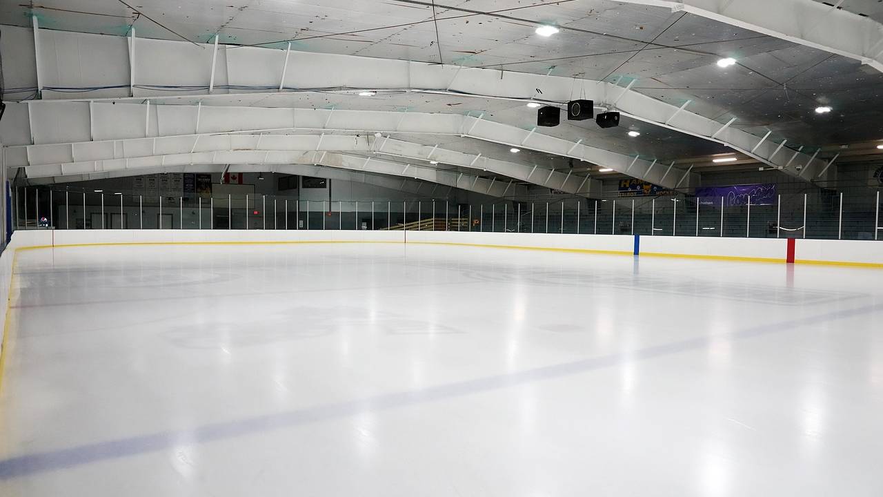 13 of the richest NHL ice hockey players of all time - including Wayne Gretzky and Alexander Ovechkin net worth